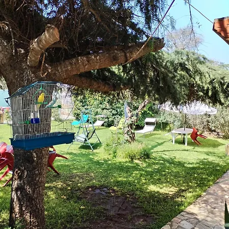 Girasole * 蒙泰罗尼迪莱切