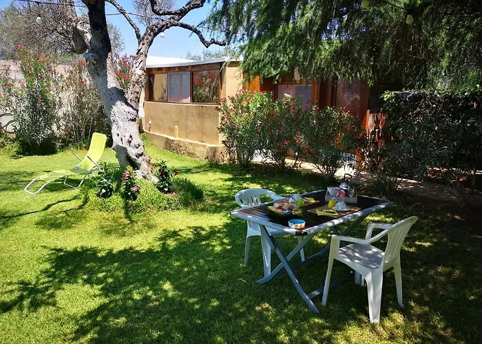 Girasole 蒙泰罗尼迪莱切