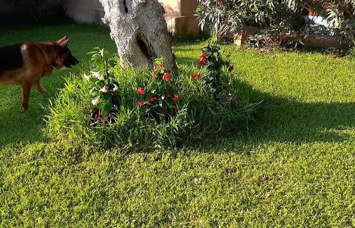 乡村民宿 Girasole 蒙泰罗尼迪莱切