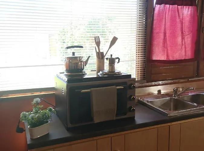 Girasole * 蒙泰罗尼迪莱切