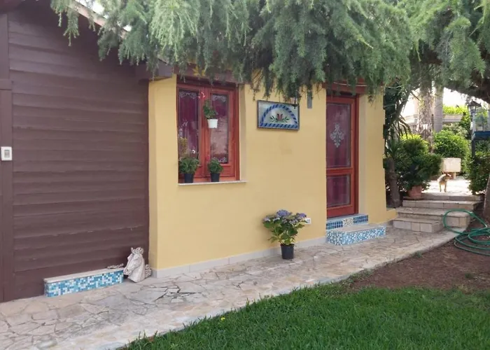 Girasole * 蒙泰罗尼迪莱切