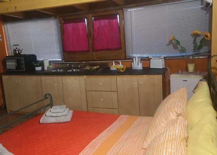 Girasole * 蒙泰罗尼迪莱切