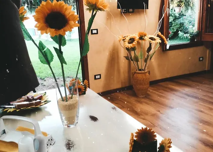 Girasole 乡村民宿 *