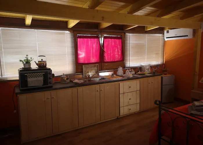 Girasole * 蒙泰罗尼迪莱切