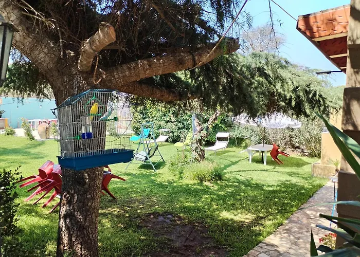 Girasole * 蒙泰罗尼迪莱切