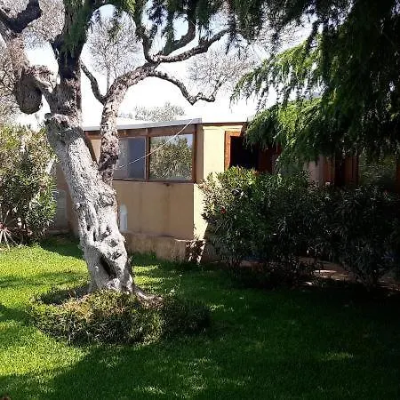 Girasole Monteroni di Lecce