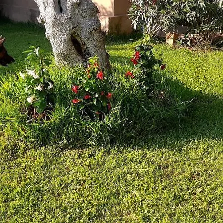 Casa di campagna Girasole Monteroni di Lecce