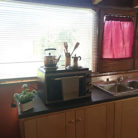 Girasole * Monteroni di Lecce